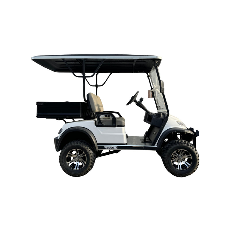 2 Seater Lifted Buggy with Cargo  (SS-VGC2SC-T02)