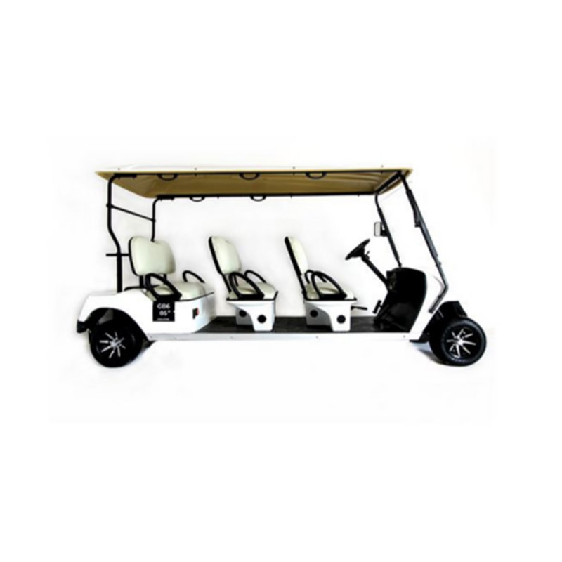 SS-GC-2SC-T01 2 Seater buggy with cargo  